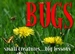 BUGS small creatures... big lessons